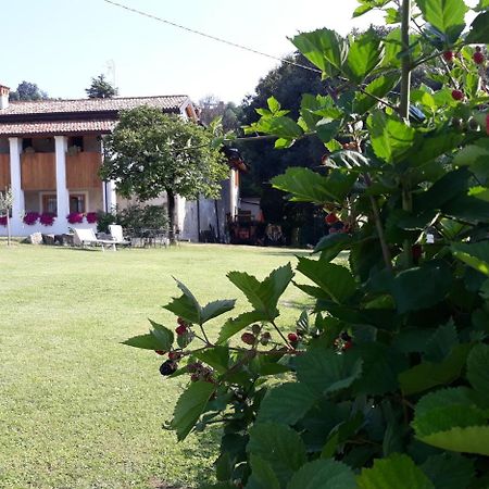 Agriturismo La Scala Villa Salò Eksteriør bilde