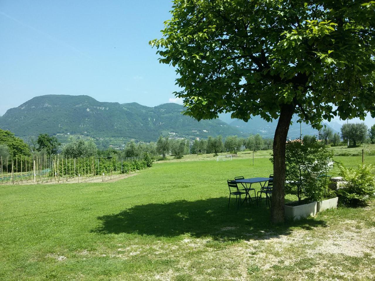 Agriturismo La Scala Villa Salò Eksteriør bilde