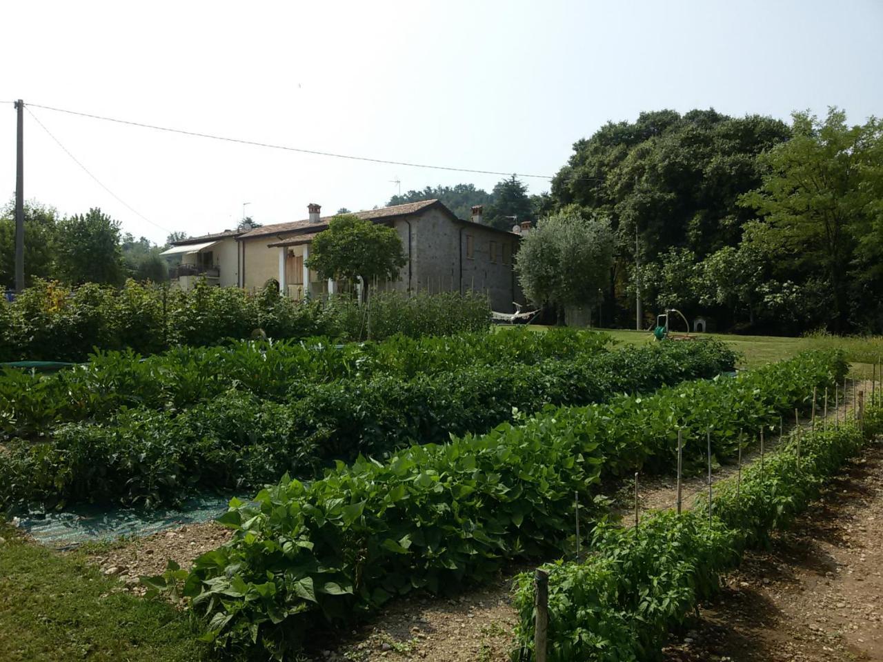 Agriturismo La Scala Villa Salò Eksteriør bilde