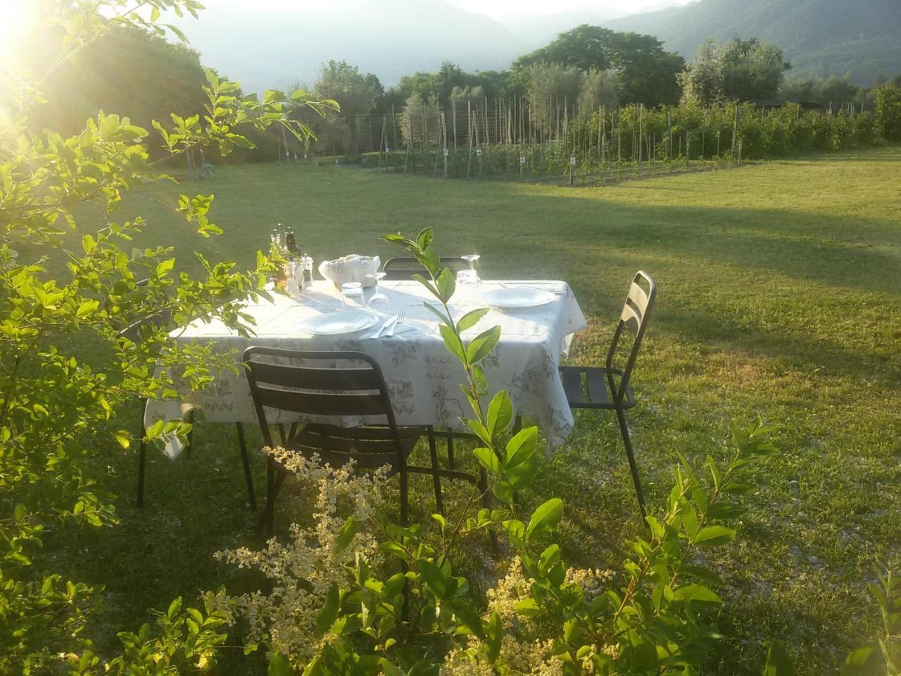 Agriturismo La Scala Villa Salò Eksteriør bilde