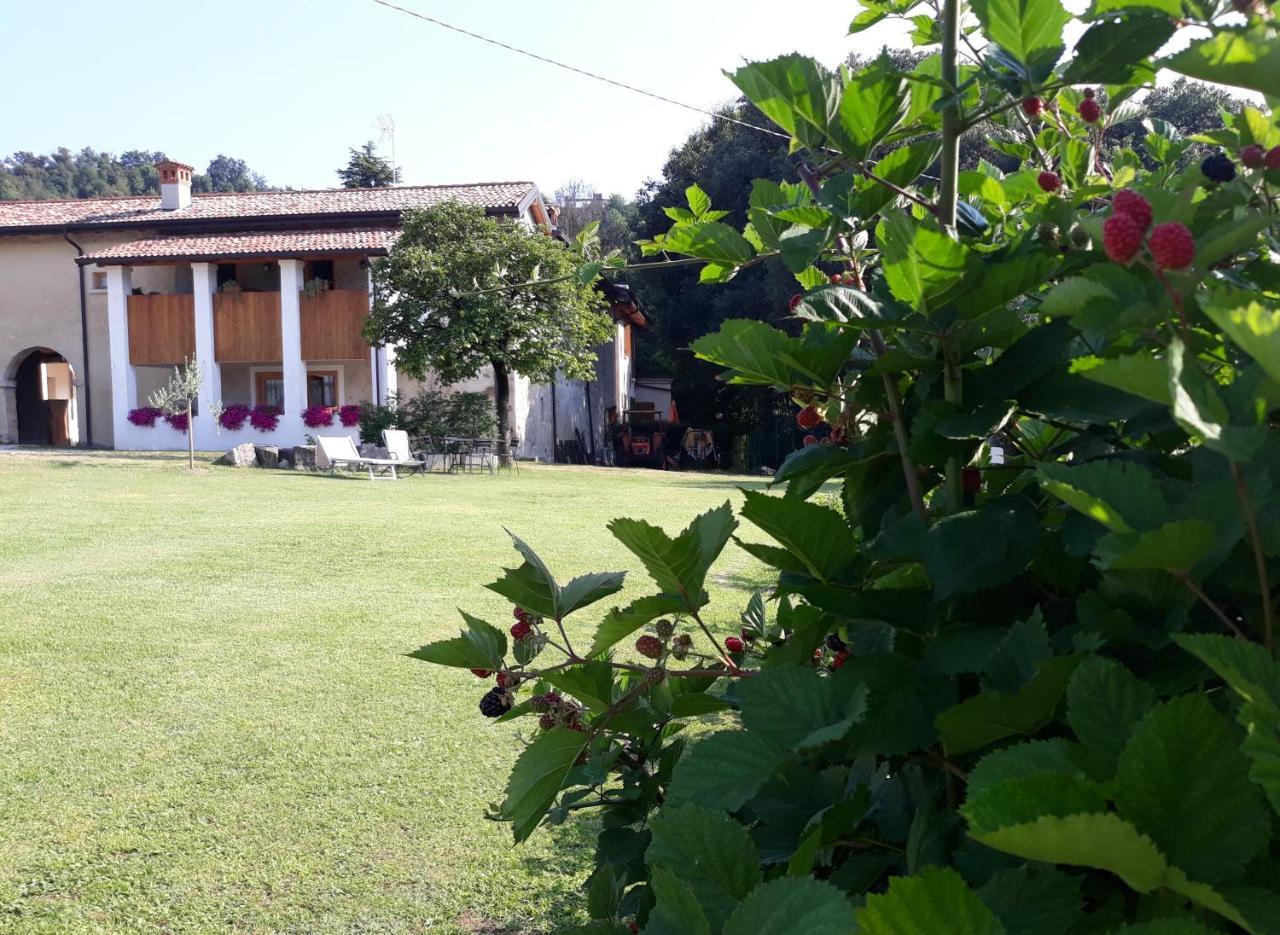 Agriturismo La Scala Villa Salò Eksteriør bilde